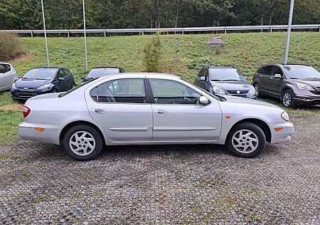 Nissan Maxima QX 3.0 Xenon FESTPREIS !!!