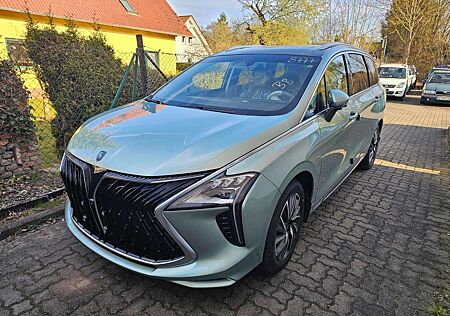 DFSK Others NOBLE+LEDER+7SITZE+PANORAMA+