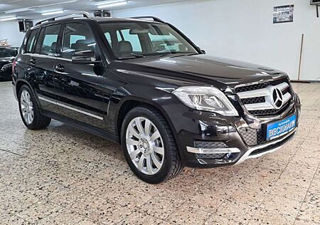 Mercedes-Benz GLK 220 GLK -Klasse CDI BlueEfficiency