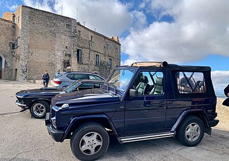Mercedes-Benz G 300 463 Turbocabriolet