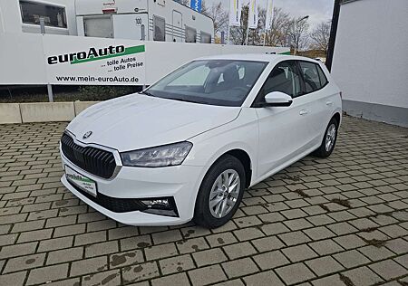 Skoda Fabia Selection 1.0 TSi DSG AHK 5 J. Garantie