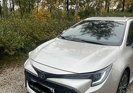 Toyota Corolla Hybrid Team D