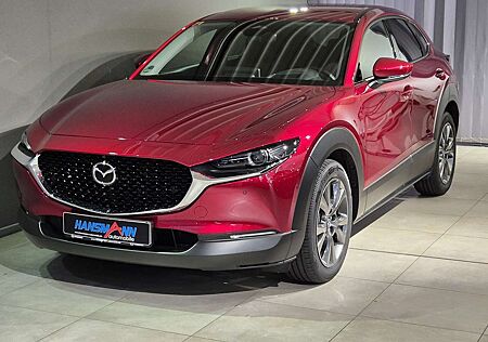 Mazda CX-30 Exclusive-Line X-186/AT/DASO/Navi/Head-Up/Matrix-L