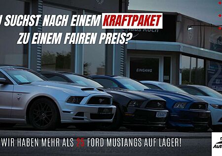 Ford Mustang | MEHR ALS 30 MUSTANGS AUF LAGER!