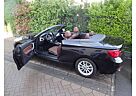 BMW 218 Cabrio Automatik, Bi Xenon, Vollleder Terra, Navi