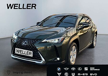Lexus UX 250h Style Edition *Bi-LED*ACC*CAM*SHZ*CarPlay*