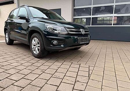 VW Tiguan Volkswagen Track & Field 4x4 Sitzheizung AHK