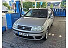 Fiat Punto 1.2 8V *TÜV bis 2026*Klimaautomatik*Top Zustand*