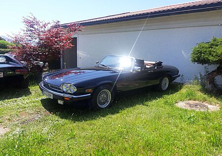 Jaguar XJS Cabrio