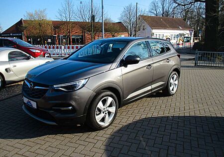 Opel Grandland X Navi/Kamera/T-Leder/AUTOMATIK/Intel