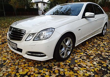 Mercedes-Benz 250 E CDI Blue Efficiency Automatik