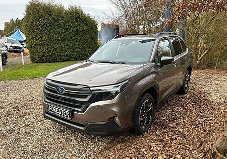 Subaru Forester Active Lineatrinoc