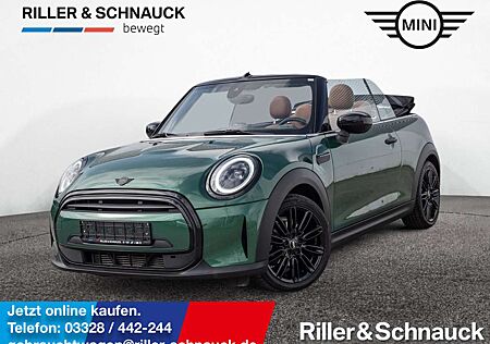 Mini Cooper Cabrio Yours Trim H/K+LEDER+LED+KAMERA