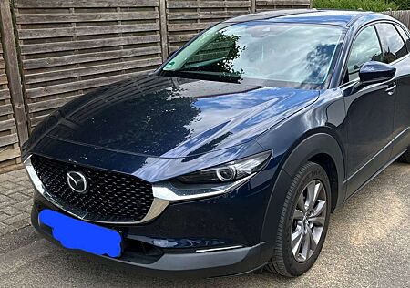 Mazda CX-30 gebraucht kaufen Mazda CX-30 e-SKYACTIV-G 2.0 M HYBRID 150 DRIVE