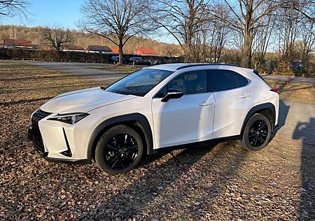 Lexus UX 250h Style Edition