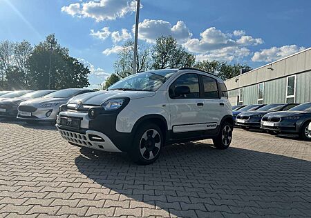 Fiat New Panda 1.2 8V City Cross *Klima Winter-Paket*