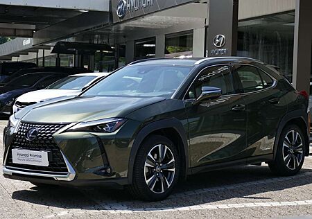 Lexus UX 250h (E-FOUR) Luxury Line*SCHIEBEDACH*360 Kamera*