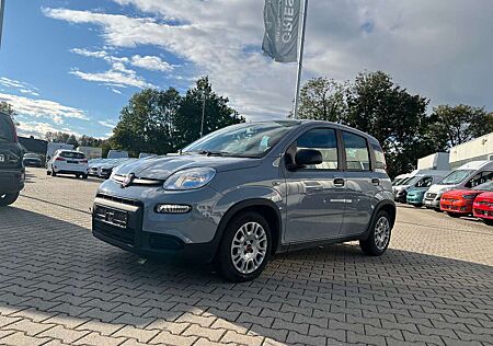 Fiat New Panda 1.0 Hybrid *Klimaanlage Radio DAB*