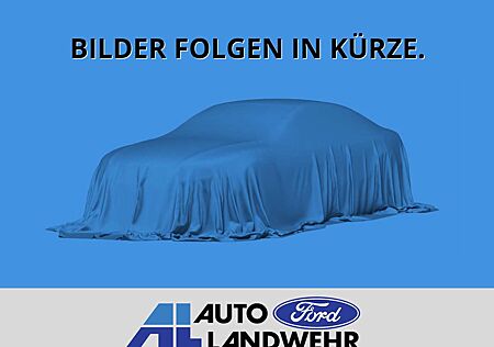 Ford Transit Kombi 350 L3 Trend DAB SHZ LenkradHZG Spurhalteass