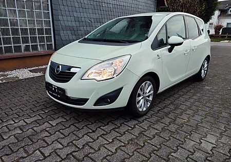 Opel Meriva B Active Flexfix SHZ KLIMA ALU