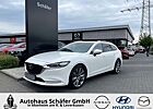 Mazda 6 Sport 360 Kamera Klimasitze e-Sitze SHZ ACC HUD Sc