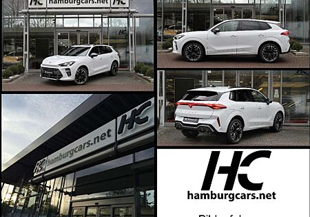Cupra Terramar Business 1.5eTSI DSG BusinessP. EDGE Paket - DI...