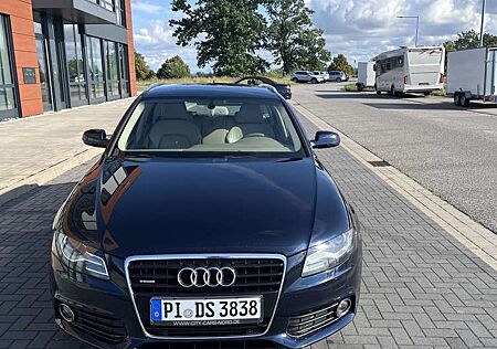 Audi A4 Avant 3.0 TDI DPF quattro Tiptronic Ambition