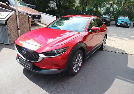 Mazda CX-30 SKYACTIV-G 122 M Hybrid SELECTION Des-P