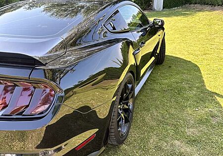 Ford Mustang Fastback 5.0 V8 GT Lackierung Neu Checkheft