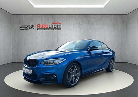 BMW 230 i xDrive M Performance Navi Leder Aut. Sitzh.