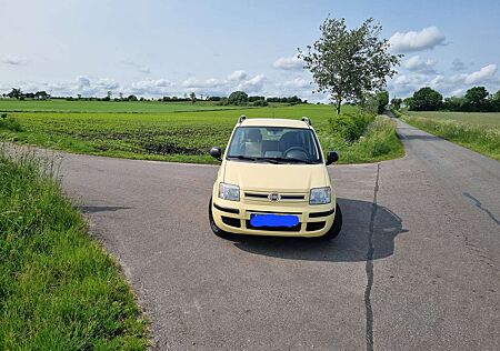 Fiat Panda 1.2 Dynamic