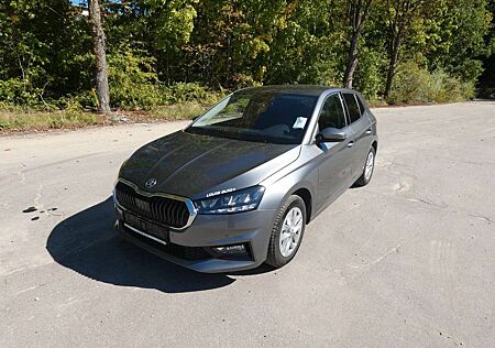 Skoda Fabia Selection1.0TSI DSG LED SHZ Kessy Virtual