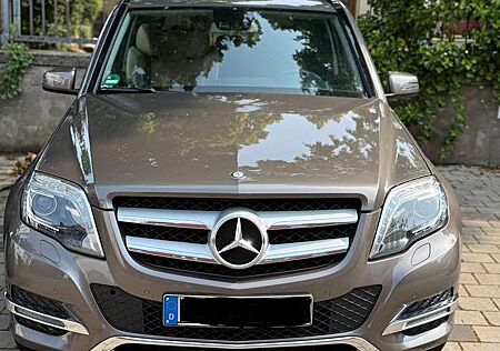 Mercedes-Benz GLK 220 GLK-Klasse Diesel CDI (BlueEFFICIENCY)