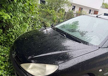 Peugeot 206 60 Filou