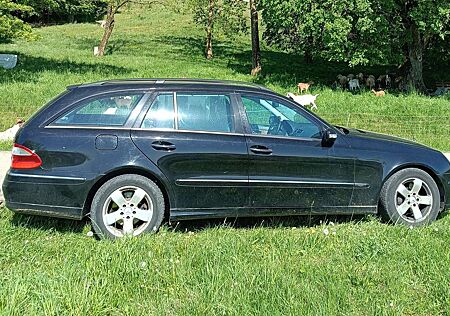 Mercedes-Benz E 220 T CDI Automatik Avantgarde