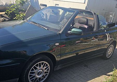 VW Golf Cabriolet Volkswagen Golf Cabrio 1.8 Trendline