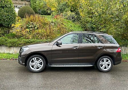 Mercedes-Benz ML 350 gebraucht kaufen Mercedes-Benz ML 350 BlueTEC 4MATIC 7G-TRONIC