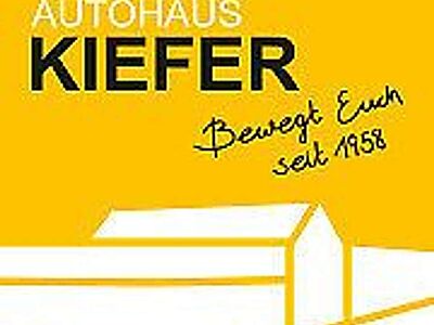 Renault ZOE Experience R110 Z.E.50 inkl. AKKU SHZ/Kamera