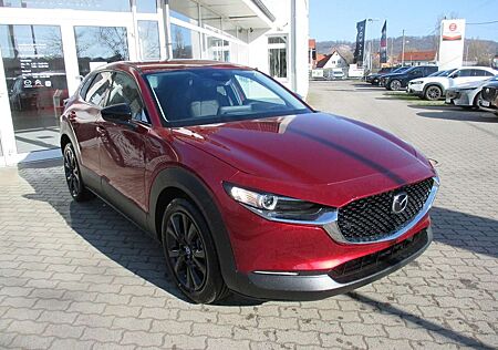 Mazda CX-30 2.5L e-SKYACTIV G 140 6MT FWD Homura