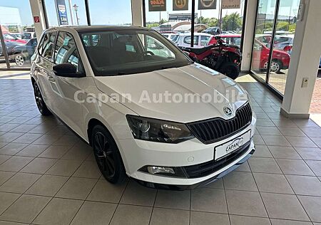 Skoda Fabia Monte Carlo Scheckheft/Panorama/SHZ/EURO6
