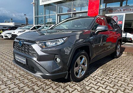 Toyota RAV 4 4 Hybrid 4x2 Team D*Touch & Go P* Technik .P*