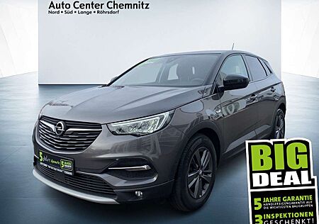 Opel Grandland 1.2 Design Line LED/Teilleder/Kamera/LM