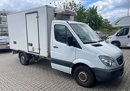 Mercedes-Benz Sprinter 313 CDI 906.131 Kühlwagen 1 Hand Tüv 08/26