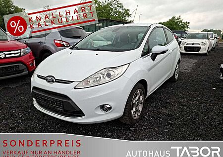Ford Fiesta 1.25 Titanium Klimaaut. PDC SHZ LM
