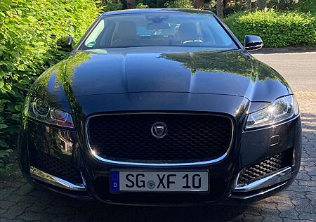 Jaguar XF 20d AWD Aut. Pure