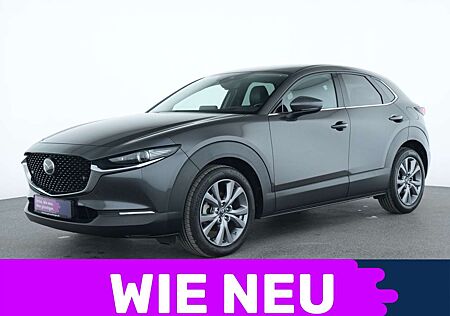 Mazda CX-30 gebraucht kaufen Mazda CX-30 Selection ACC|Head-up|Matrix-LED|Navi
