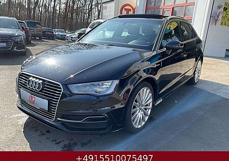 Audi A3 e-tron ambition Pano Leder Xenon Navi B&O