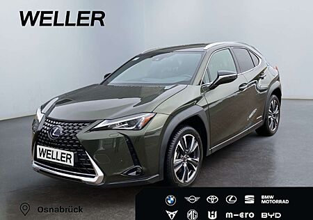 Lexus UX 250h Style Edition *Bi-LED*ACC*CAM*SHZ*CarPlay*
