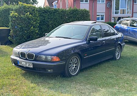 BMW 523i 523