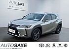 Lexus IS 200 UX 200 Launch Edition *Bi-LED*Navi*Kamera*Sitzhz*